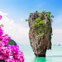 James Bond Island Next to Pink Flowers